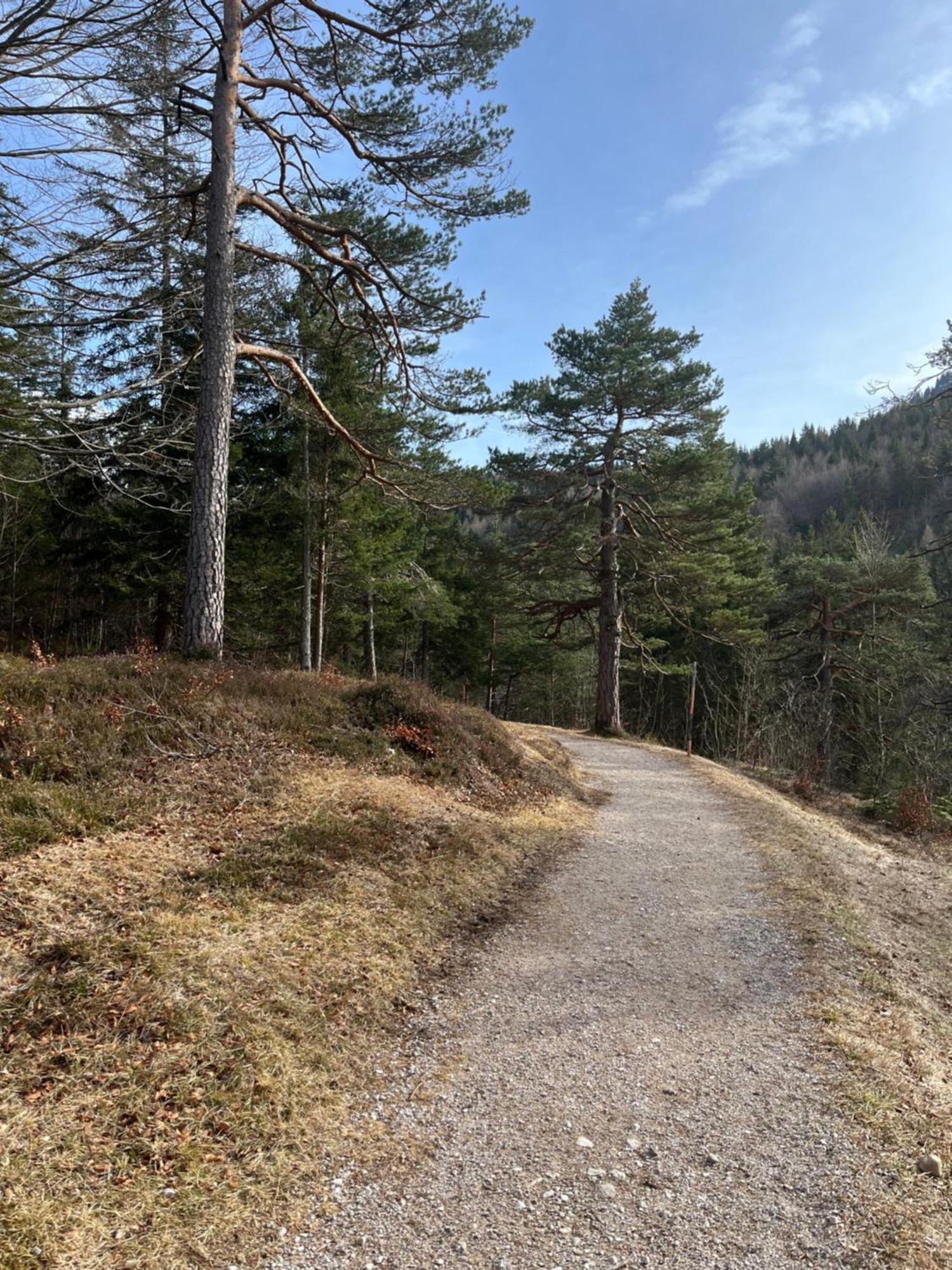 Fewo Lautersee Mittenwald Zewnętrze zdjęcie