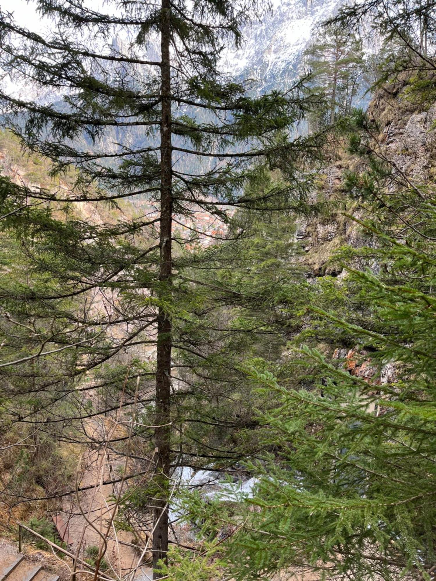 Fewo Lautersee Mittenwald Zewnętrze zdjęcie